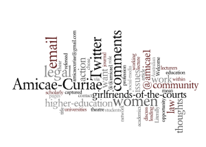 Screen shot 2011-04-03 at 3.49.08 PM Amicae Curiae